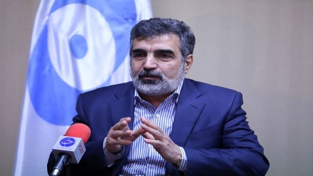 Kelamvendi: UAEA'nın İran'ın nükleer programı ile ilgili iddiasının hukuki dayanağı yok