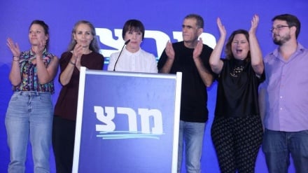 זהבה גלאון ניצחה בפריימריז במרצ