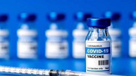 中国同非洲国家开展疫苗合作成效良好