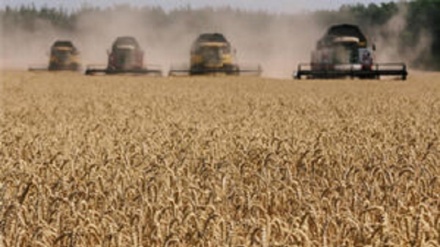 Birleşmiş Milletler'den  kıtlık çeken ülkeler için Ukrayna tahıl alımı