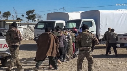 Magaidi 50 wa Daesh wahamishiwa Iraq kutoka nchini Syria