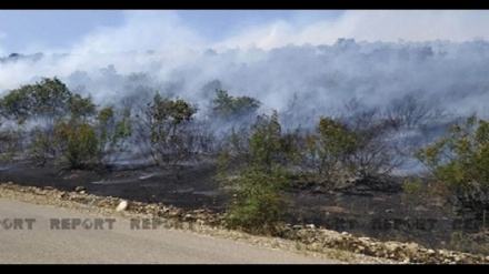 Azerbaycan cumhuriyetinde  5 günde 5 bin hektar orman yandı