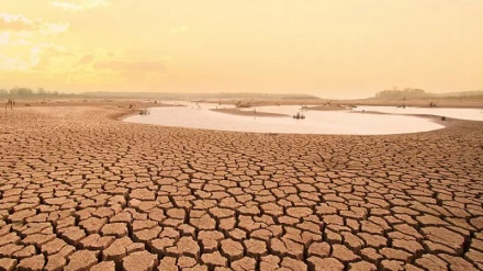 Climate endgame: Risk of human extinction ‘dangerously underexplored’