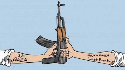 Бидуни шарҳ!