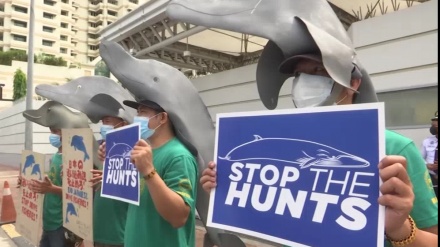 在フィリピン日本大使館前で、イルカ追い込み漁に抗議する集会が実施