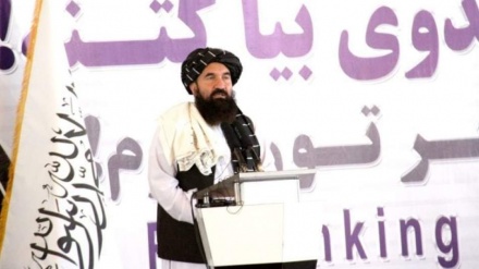 تاکید طالبان بر اهمیت صنعت توریسم و تأثیر آن بر اقتصاد افغانستان