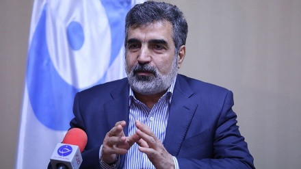イラン原子力庁報道官、「イランの平和的核計画の透明性はこれまでも最高水準」