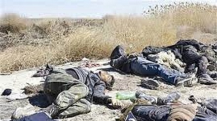 La morte di 7 terroristi Daesh a Daraa