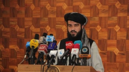 قلندر عباد: حدود پنج هزار مرکز صحی در افغانستان خدمات معیاری ارائه می‌دهد