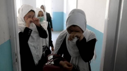 واکنش‌ها به اظهارات سرپرست وزارت معارف طالبان مبنی بر مسدود شدن مکاتب دختران