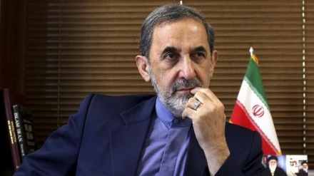 ولایتی: ایران هیچ‌گاه چشم طمع به کشورهای همسایه خود ندارد 