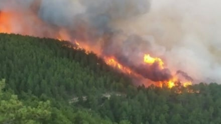 La Turchia del Sud torna a bruciare 