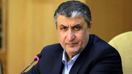 אסלאמי: איראן היא אחת משלוש מדינות בעולם שמייצרות תרופות בהתבסס על מים כבדים