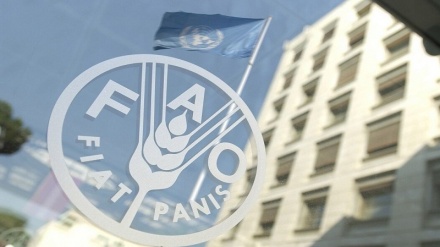 La FAO avverte che quasi un milione di persone nel mondo rischiano la fame
