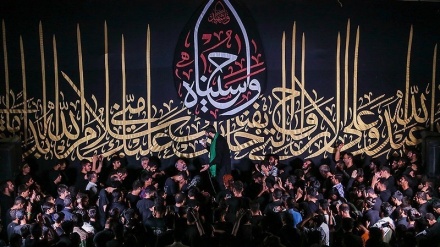 (FOTO) Pellegrini su strada Najaf verso Karbala - 2