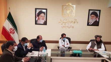 آمادگی ایران برای همکاری با افغانستان در حوزه توریسم سلامت