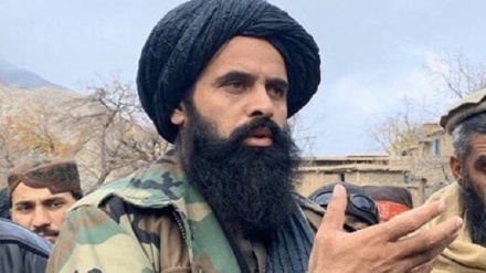 طالبان زخمی شدن فرمانده این گروه در پنجشیر را تکذیب کرد