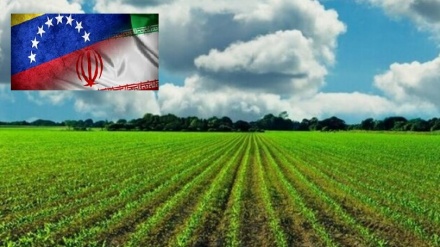 Venezuela, cinque milioni di ettari a disposizione dell'Iran per investimenti agricoli 