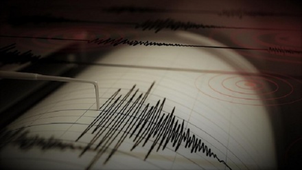 מקסיקו: רעידת אדמה בעוצמה 6.5 הורגשה במערב המדינה