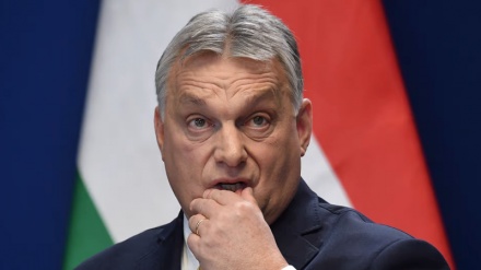 Paralajmërimi i Hungarisë; 40% e industrive evropiane në dimër do të ndalen