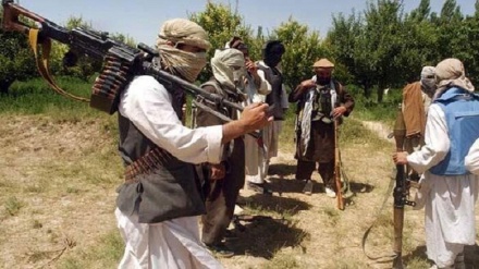 ابراز نگرانی مقامات پاکستانی از افزایش خطر تروریسم در افغانستان 