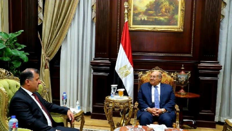 دیدار سفیر تاجیکستان با رئیس مجلس سنای مصر