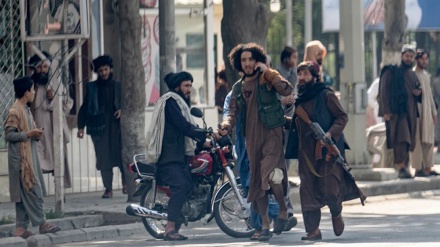 Mbi 200 ish-zyrtarë afganë të vrarë që kur talibanët morën pushtetin