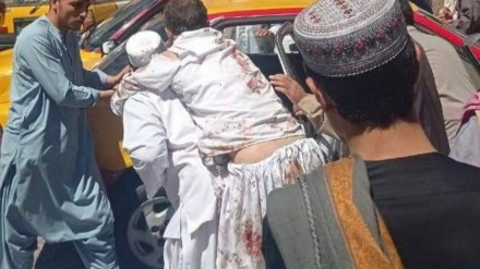       آخرین گزارش ها از شمار قربانیان حادثه تروریستی در هرات/ مجیب الرحمان انصاری در میان کشته ها؛ داعش مسوولیت پذیرفت 