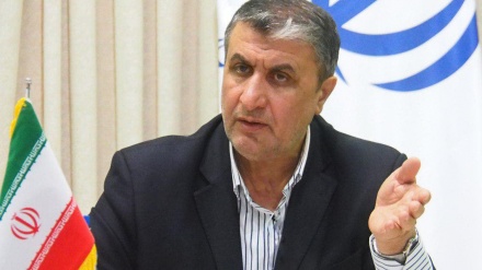 イラン原子力庁長官、「国内に未申告の核活動は1例もない」