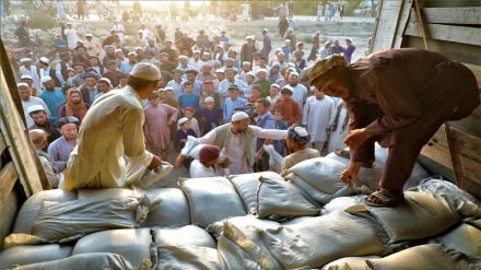 Ўзбекистон Афғонистон халқига яна 58 тонна  инсонпарварлик ёрдам юборди