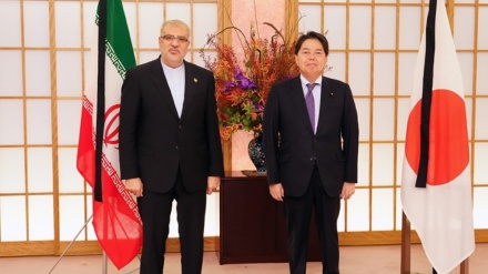 Japan determined to expand friendly ties with Iran: FM