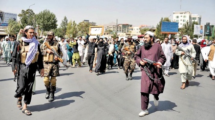 منابع محلی: دو ولسوالی در نورستان از کنترل طالبان خارج شد