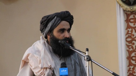 مجازات سنگین طالبان برای اجاره دادن خانه به افراد داعش یا آدم ربایان