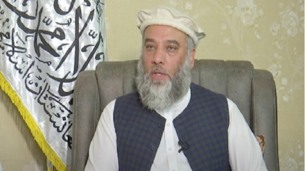 طالبان برای همکاری با سازمان شانگهای اعلام آمادگی کرد