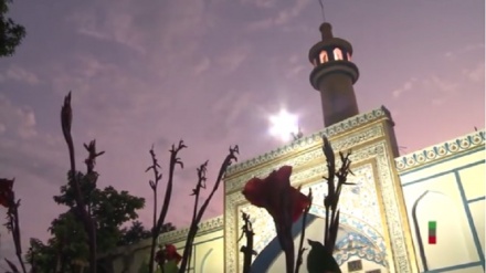 از مشهد در ایران تا لکنهو در هند؛ امام رضا(ع) برای همه