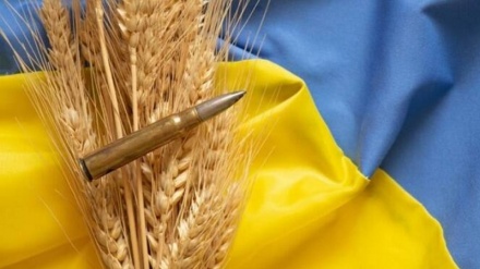 Europa e il furto dei cereali