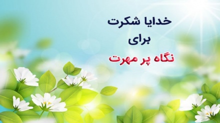 زنده باد زندگی/ شکرگذاری (1)