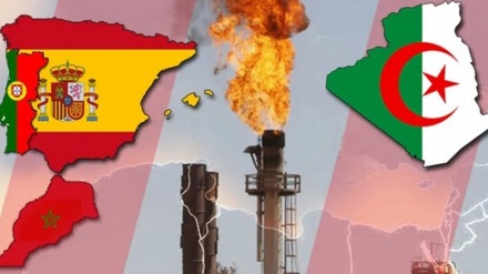 Algjeria: Nuk do të ketë gaz derisa Spanja të kërkojë falje