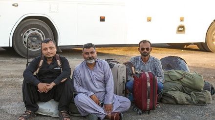 (FOTO) I pellegrini di Arbaein tornano in Iran - 4