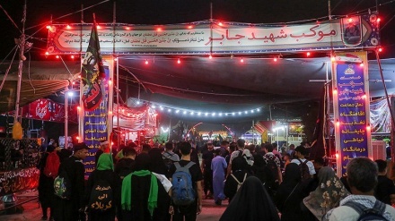 Peziarah Arbain Jalan Kaki dari Najaf ke Karbala (2)