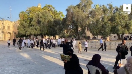 Illegal Zionist settlers storm al-Aqsa Mosque compound again 