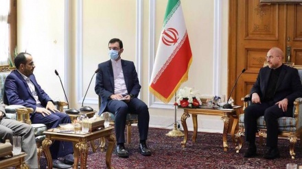 دښمنان د یمن جنګ د اقتصادي جنګ په لور بیايي