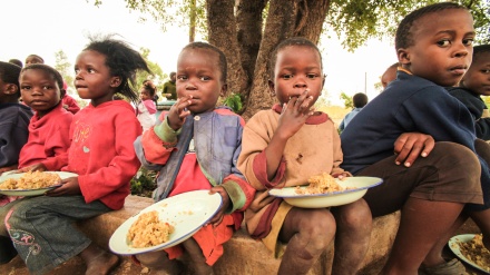 Kombet e Bashkuara: Numri i viktimave të urisë në botë është rritur 10 herë