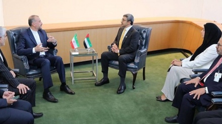 UAE ready to boost economic ties with Iran