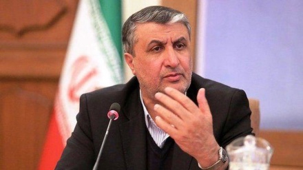 イラン原子力庁長官、「イランの核計画には何ら逸脱なし」