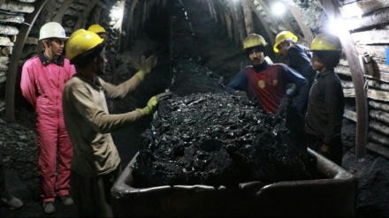 معدن زغال سنگ «سبزک» در ولایت هرات