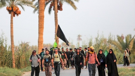 Peziarah Arbain dari Pelosok Irak Melewati Jalur