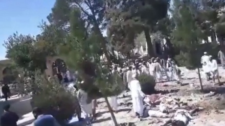 تصاویرانفجار در مسجد گذرگاه هرات