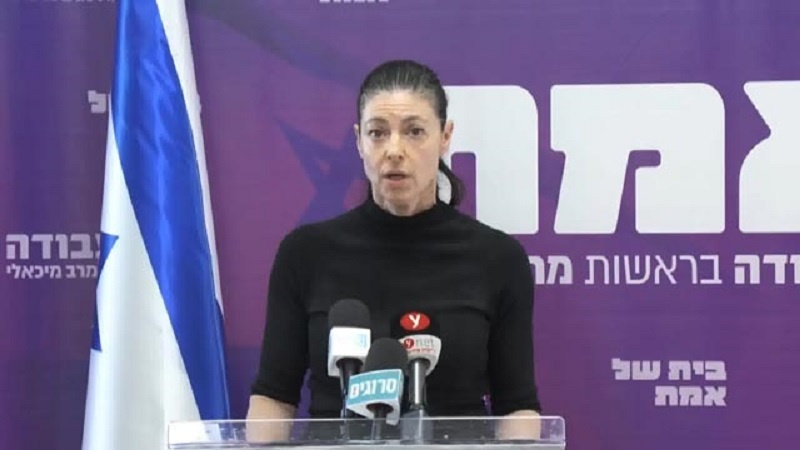 המחדלים של מיכאלי