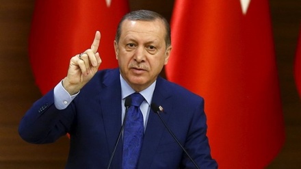  شکایت اردوغان از سیاستمدار آلمانی که او را «موش فاضلاب» خطاب کرده بود